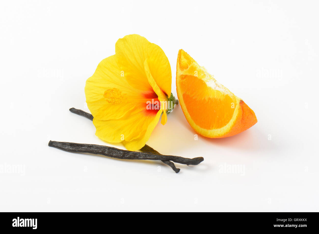 Hibiscus, orange et les gousses de vanille sur fond blanc Banque D'Images