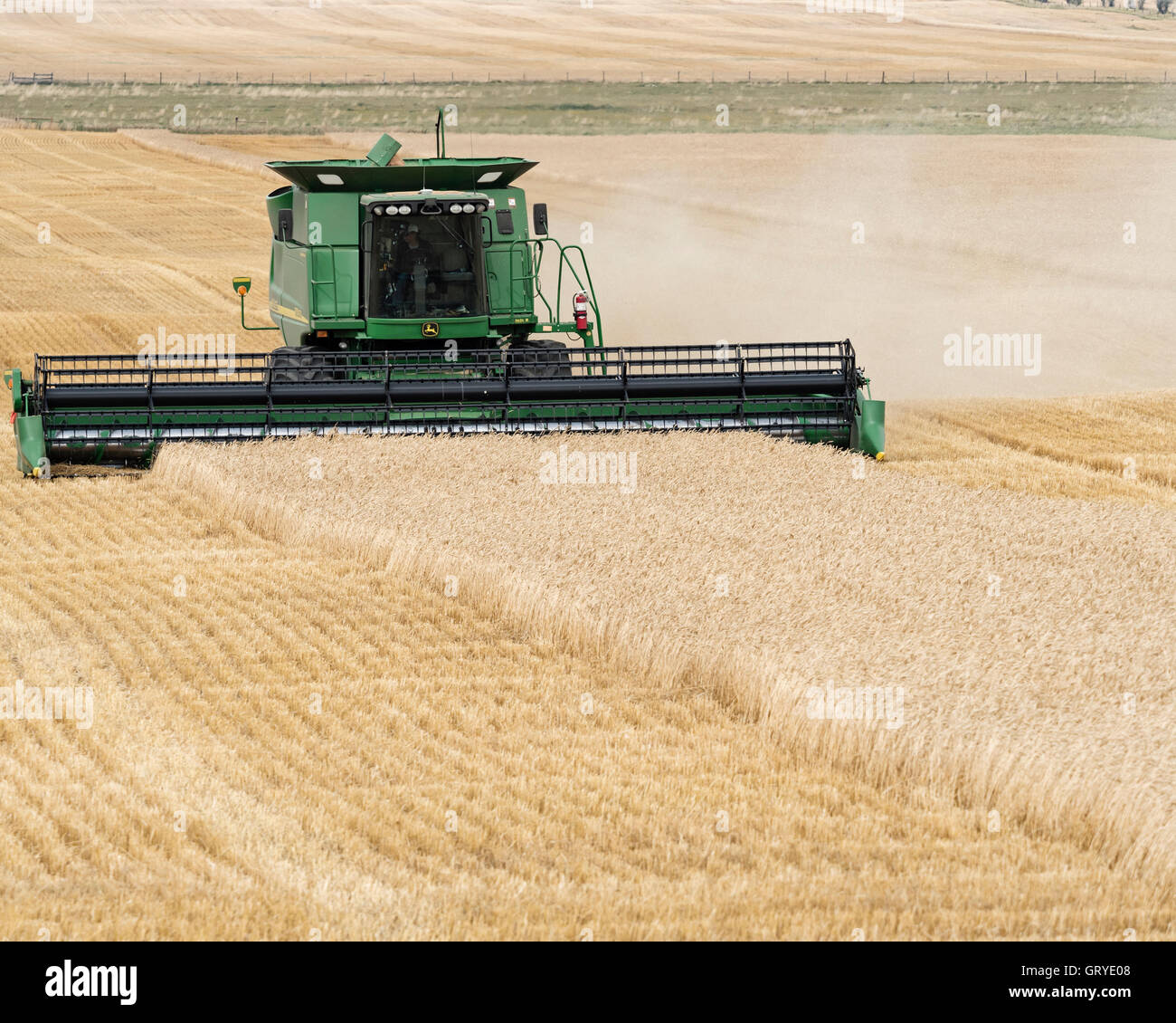 Un agriculteur à l'aide d'une moissonneuse-batteuse John Deere les récoltes de blé, de Warner, de l'Alberta, Canada. Banque D'Images