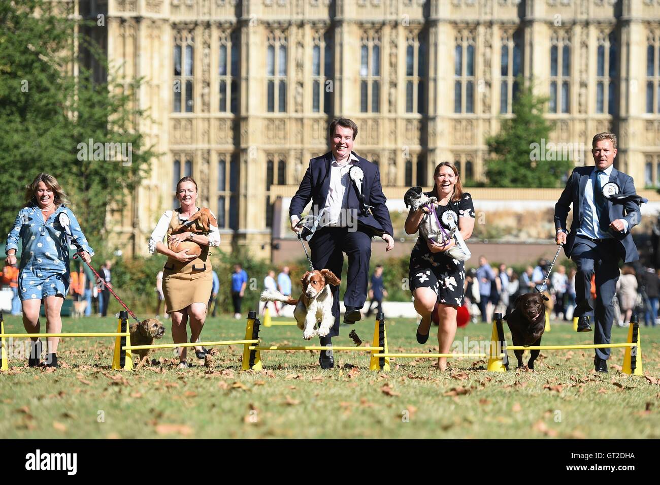 Les députés prennent part à la Westminster Dog de l'année 2016, organisée conjointement par le Kennel Club et les chiens Trust au Victoria Tower Gardens à Westminster, Londres. Banque D'Images