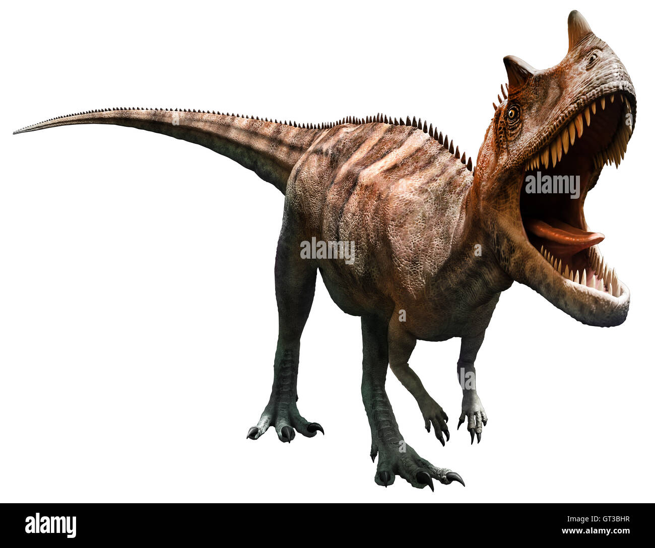 Ceratosaurus Banque D'Images