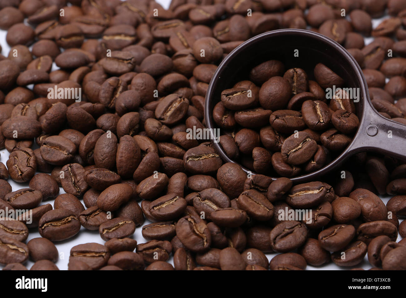 Les grains de café torréfié et une cuillère Banque D'Images
