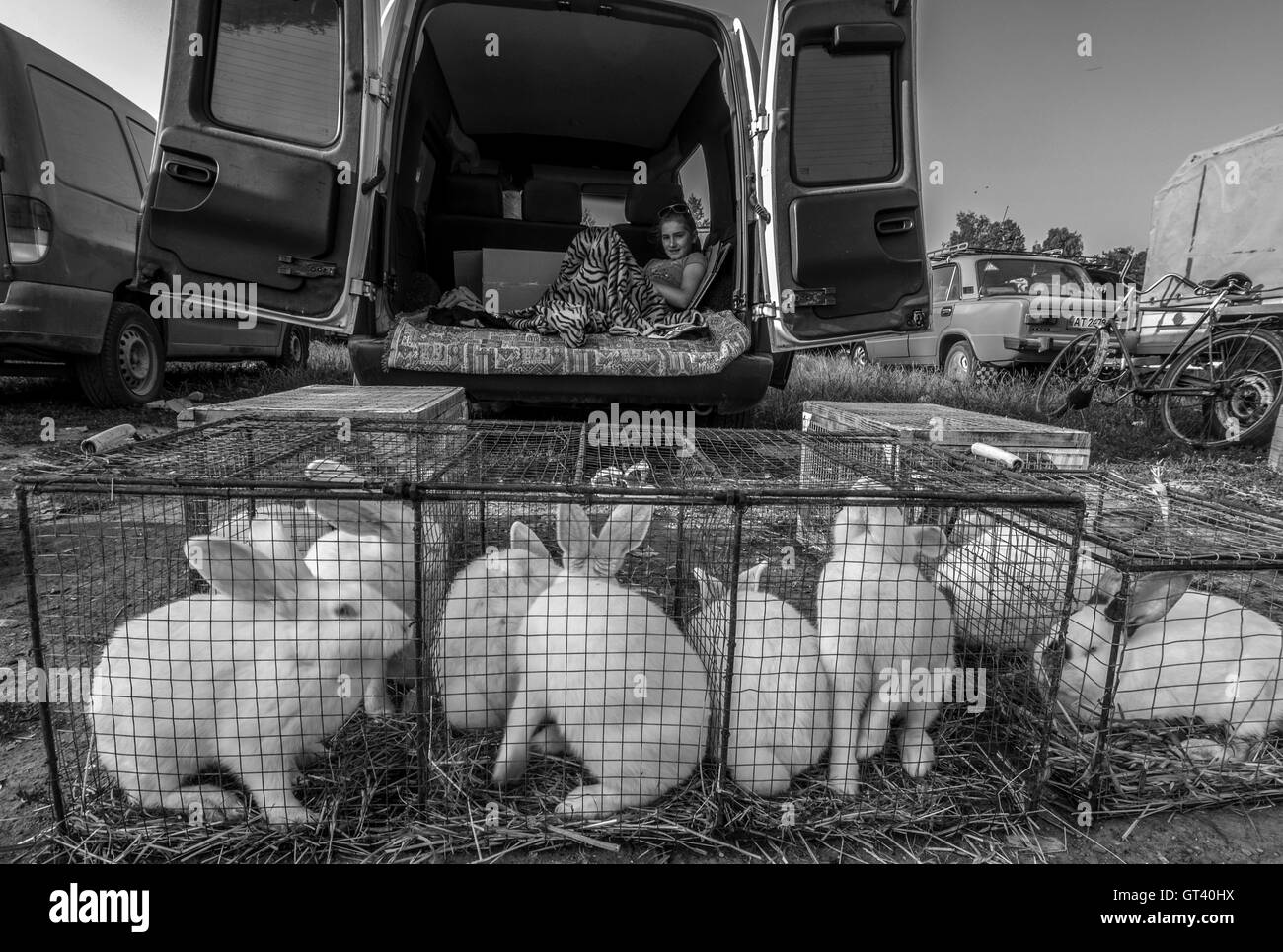 Young woman lying in the open cargo cabine de l'autobus, en face de laquelle il y a des cages à lapins sur le marché des animaux domestiques Banque D'Images