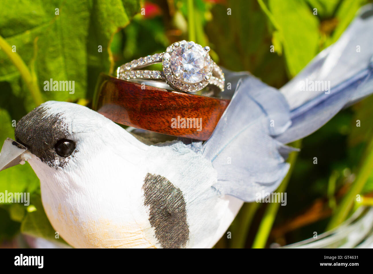 Les anneaux de mariage et d'oiseaux Banque D'Images