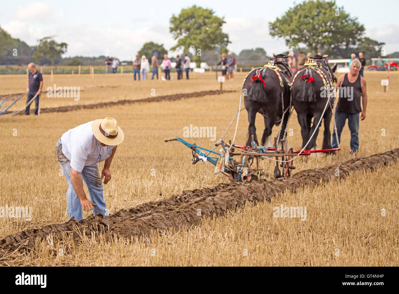 British & World Ploughing Championships à Crockey Hill York 30 Septembre 2016 Banque D'Images