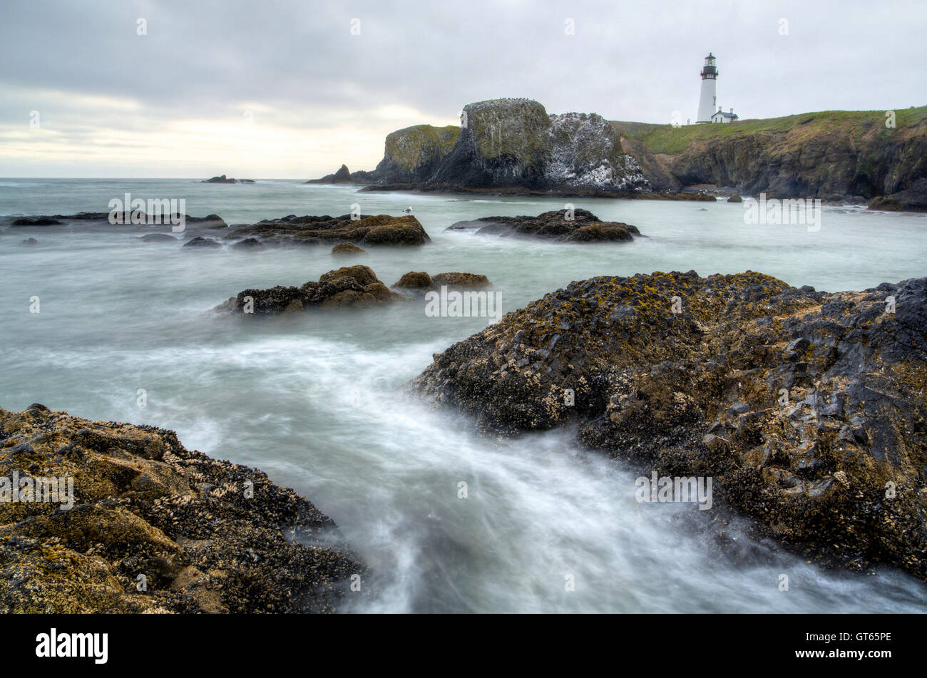 Un phare historique sur une falaise à la tête Yaquina Outstanding Natural Area, côte de l'Oregon. Banque D'Images