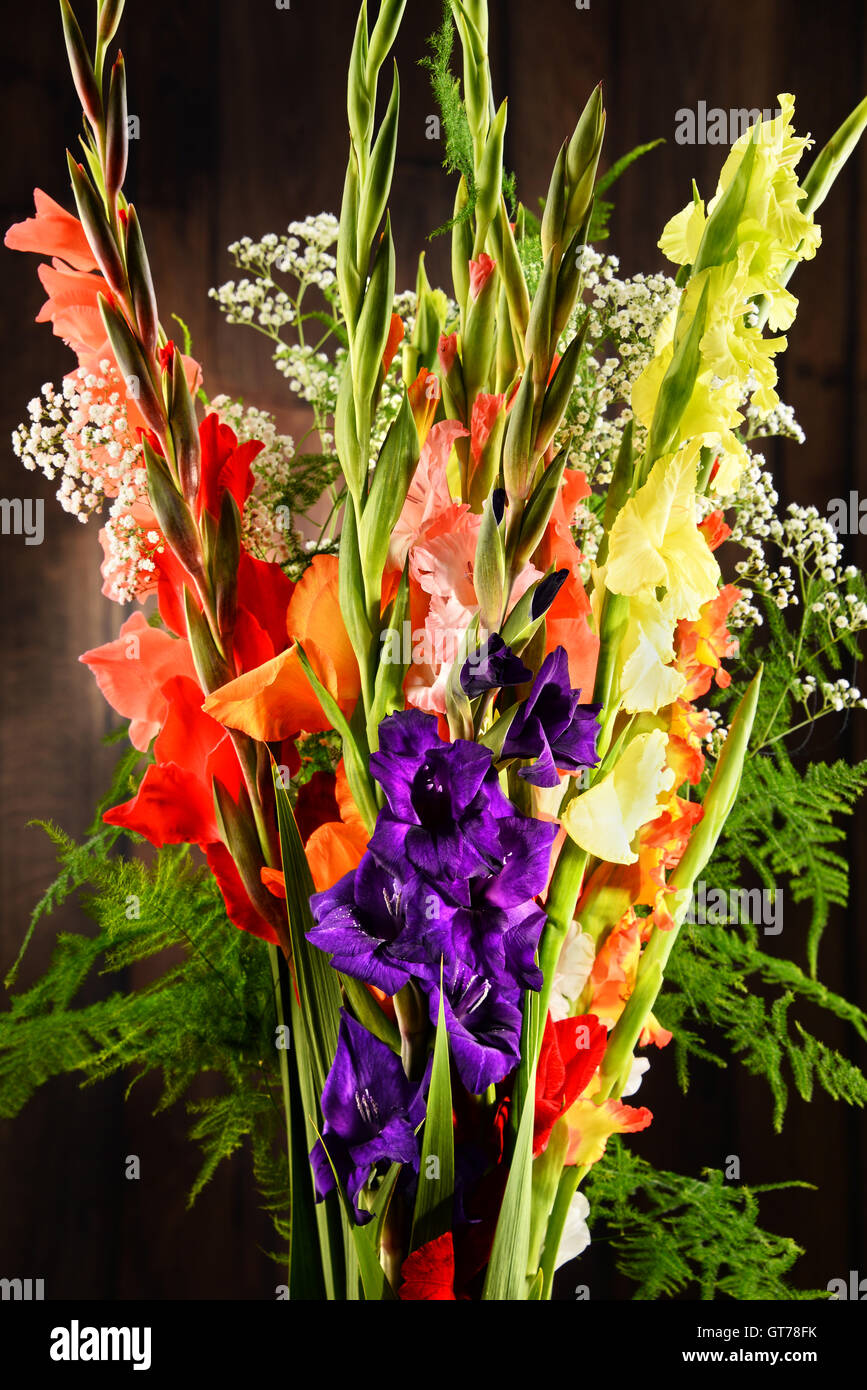 Composition de bouquet de fleurs de glaïeul. Banque D'Images