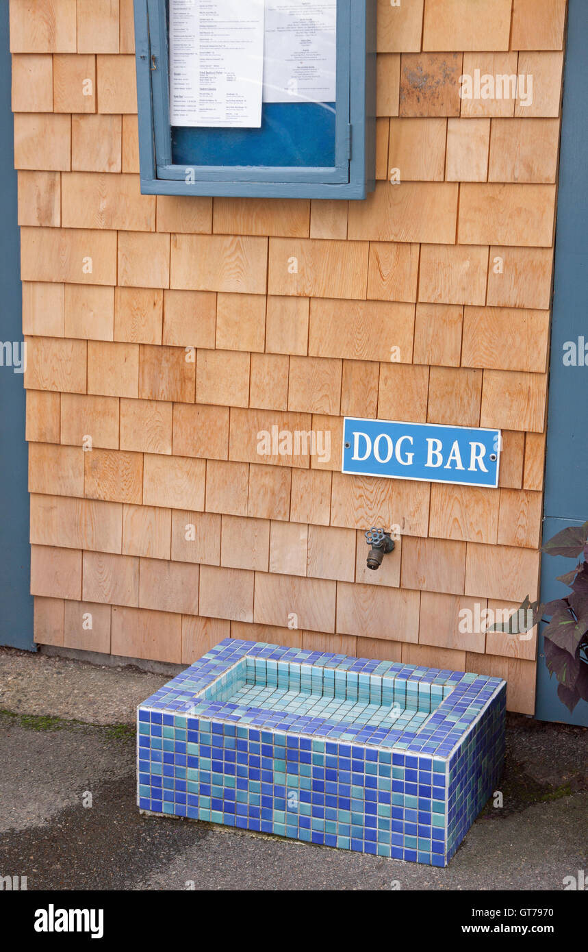 Signe extérieur de chien bar un restaurant offrant une fontaine d'eau pour les chiens assoiffés. Banque D'Images