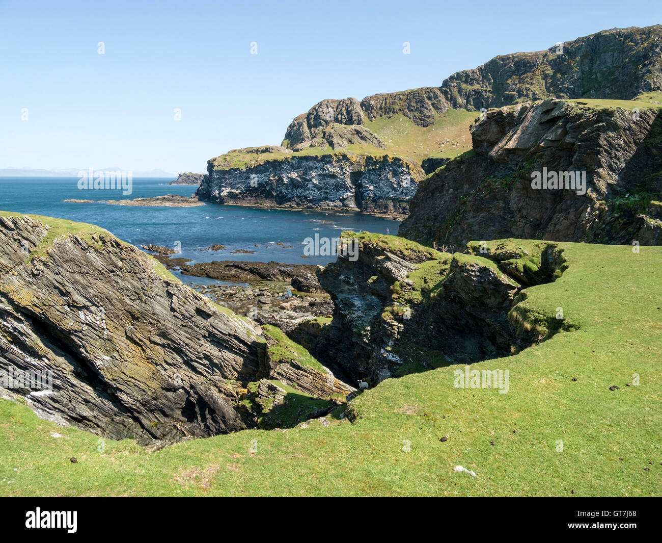 Oiseaux de mer et falaises rocheuses à l'interdiction du port près de Pig's Paradise à l'île de Colonsay, Ecosse, Royaume-Uni. Banque D'Images