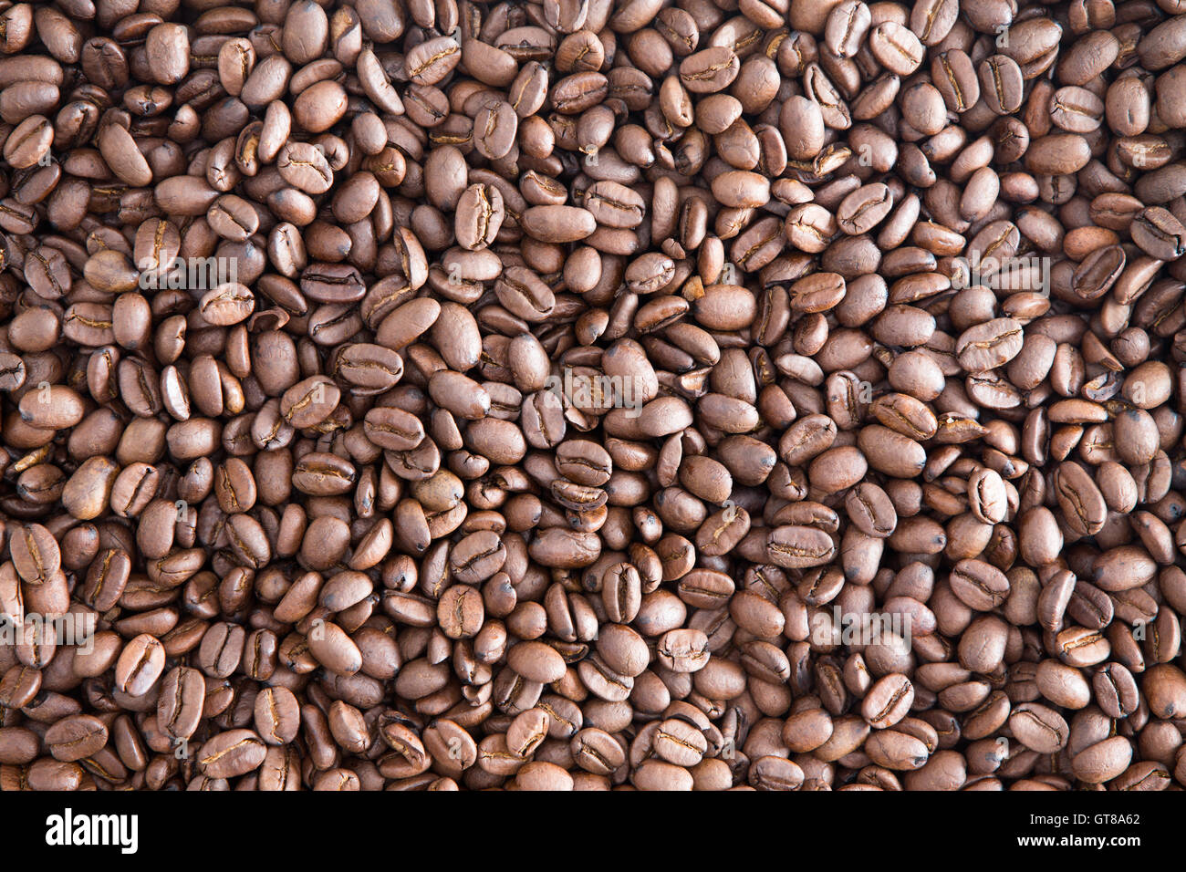 La texture de fond de grains de café Roasted Brown prête pour le meulage pour une tasse de café aromatique au petit-déjeuner, Close up vi Banque D'Images