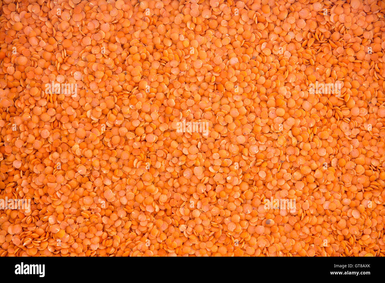 Arrière-plan de l'alimentation des graines de lentille rouge séché, une légumineuse nutritive populaire dans les régimes végétariens et végétaliens Banque D'Images