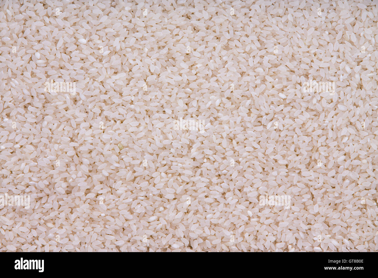 La texture de fond de riz étuvé à grain long grains qui ont été mondés et partiellement cuite d'accélérer le temps de cuisson, d'un s Banque D'Images