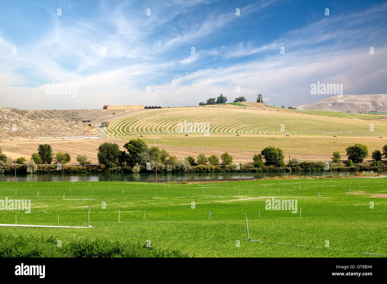 Les terres agricoles à un champ d'être arrosé par l'irrigation à pivot central à l'arrière-plan par rapport à un deuxième champ vert avec ir sprinkleur Banque D'Images