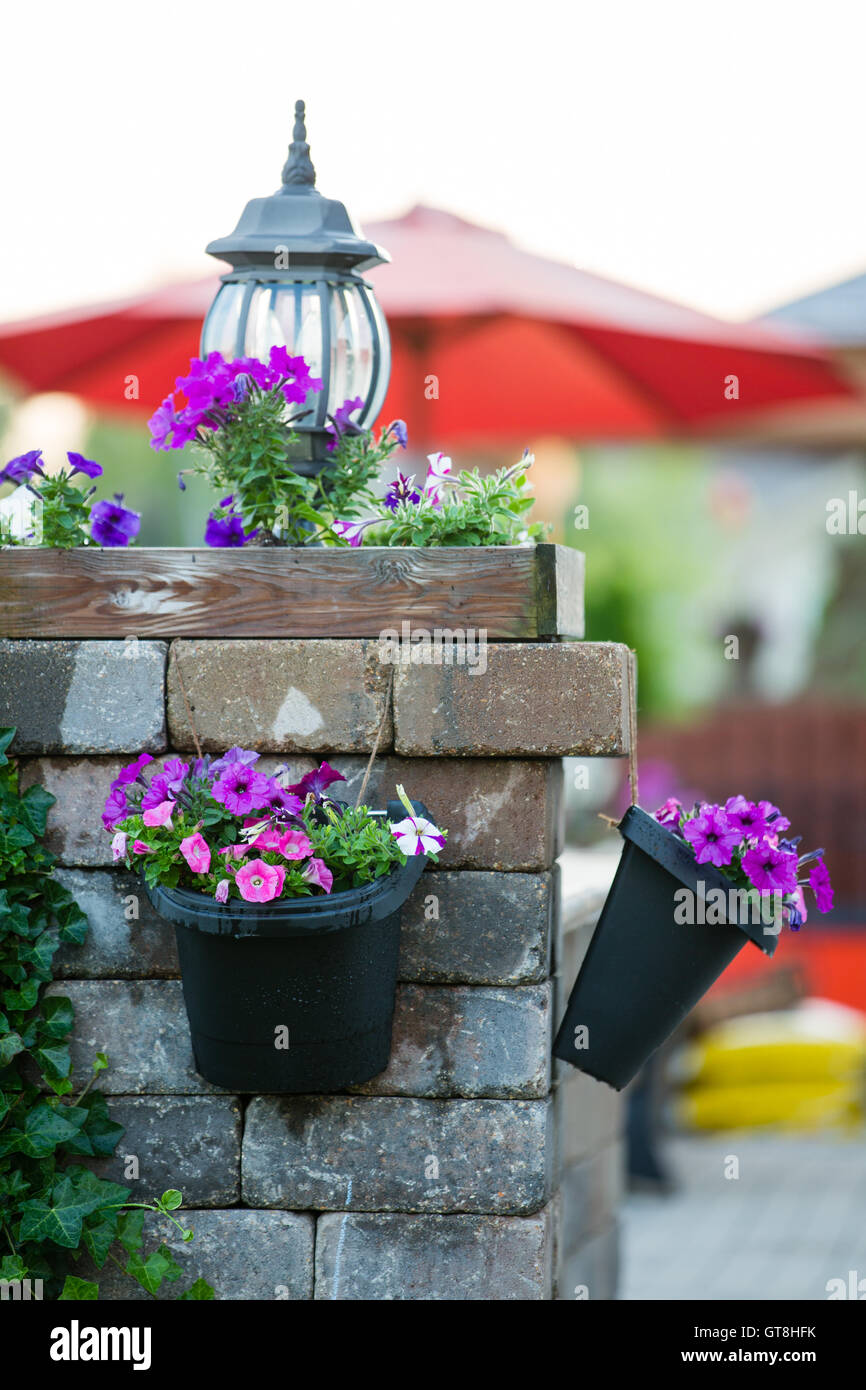 Détail de Patio en pierre pilier décoré de fleurs violettes et lampe éteinte dans la région de Hanging Pots - Pots de fleurs arrosées récemment pendaison Banque D'Images