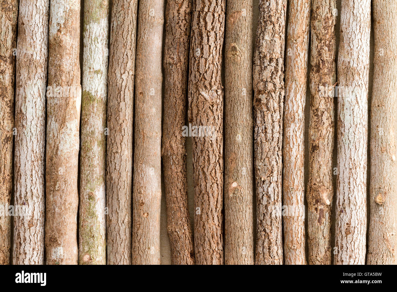 La texture de fond d'une rangée de crayons de couleur en bois naturel rustique crayons placés côte à côte dans une vue plein cadre Banque D'Images