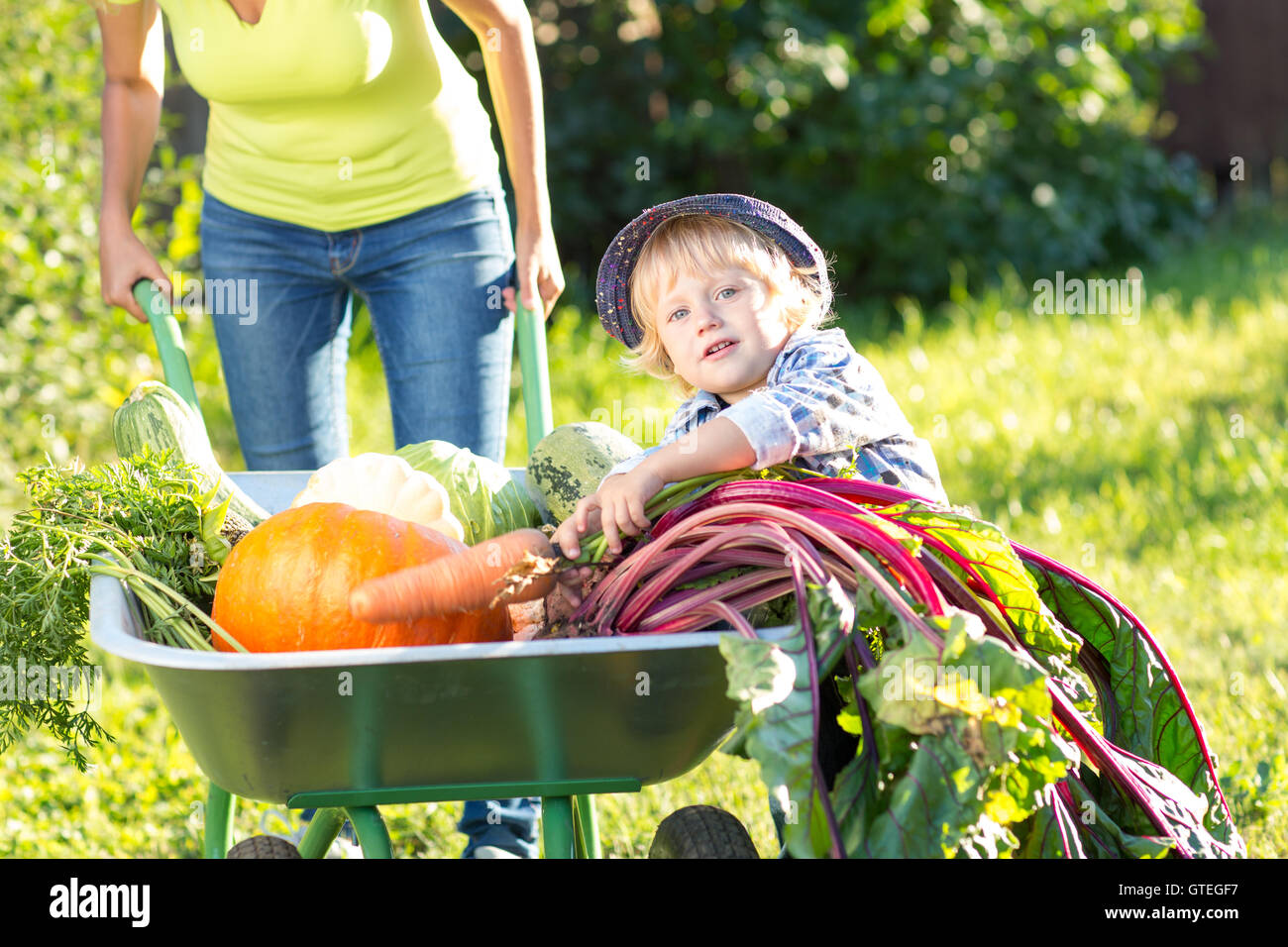 Mère et enfant dans un jardin intérieur. Adorable garçon debout près de brouette avec des légumes de la récolte. Organique saine dom pour les enfants. Banque D'Images
