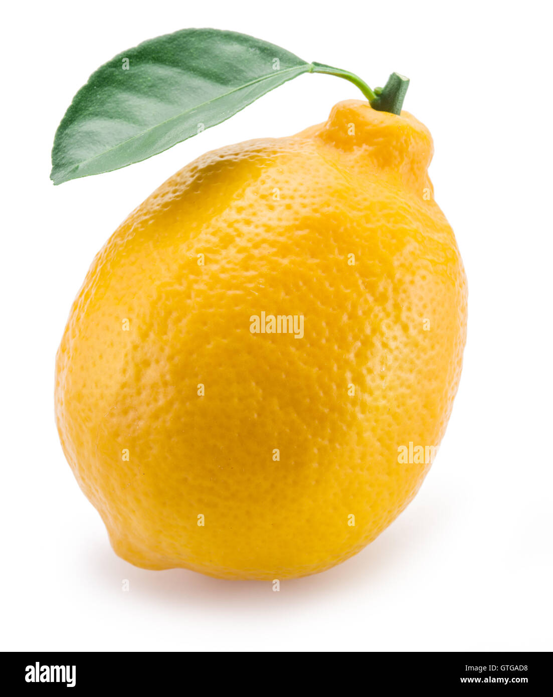Ripe fruit citron sur le fond blanc. Banque D'Images