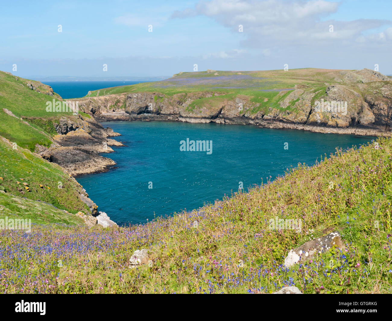 Vue de South Haven et le cou sur l'île de Skomer, dans le Parc National de Pembrokeshire Coast, SW Wales Banque D'Images