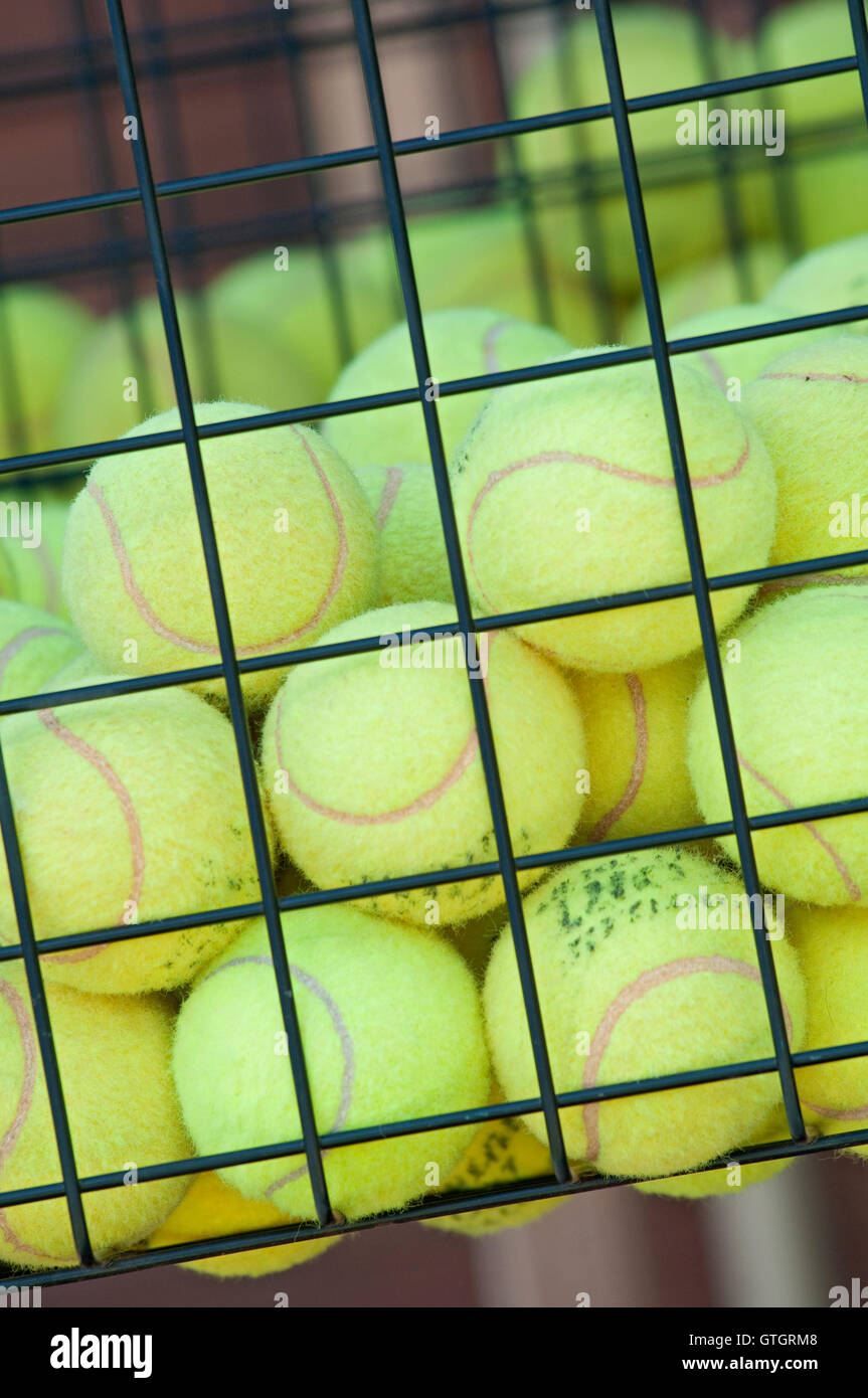 Lot De 12 Balles De Tennis Avec Sac Maille DIVCHI - Entraînement, Chiens Et Loisirs
