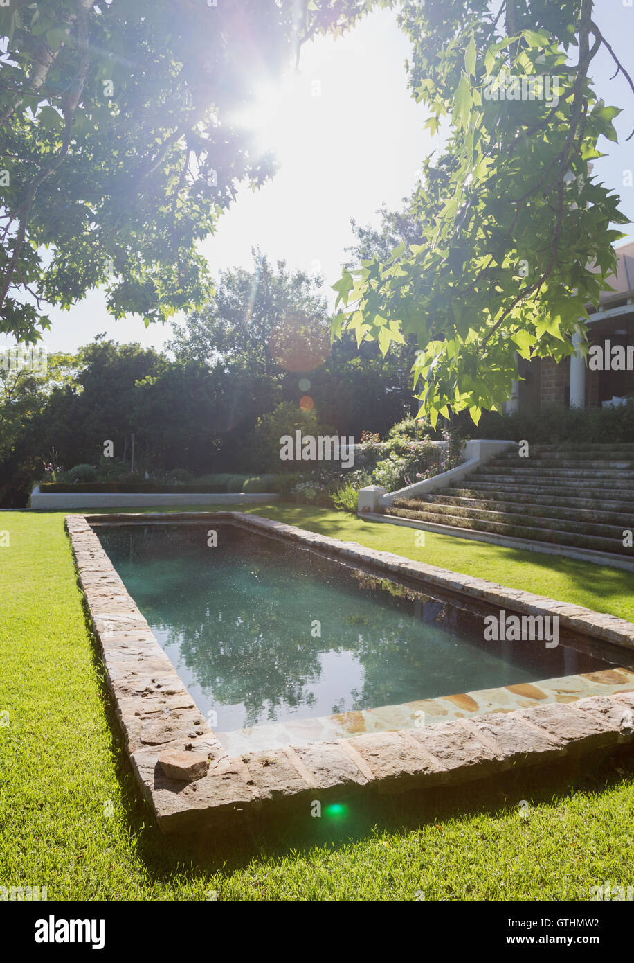 Arbre ensoleillé et piscine Banque D'Images