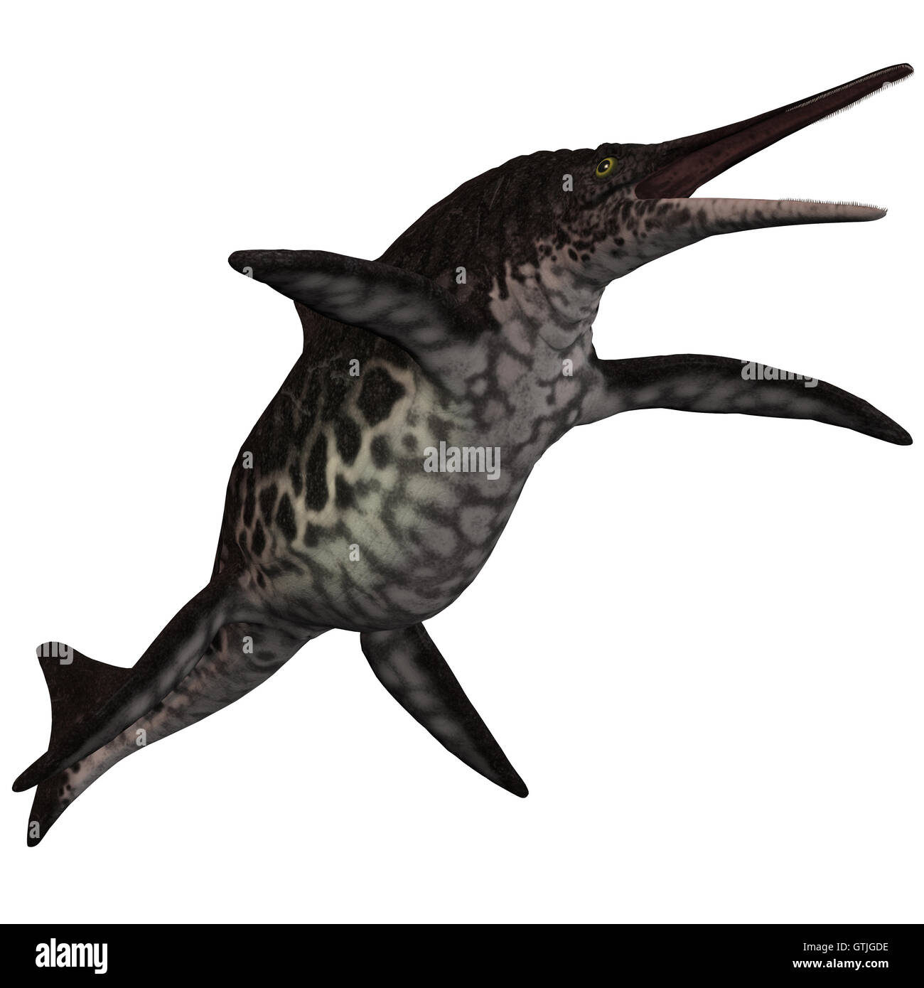 Shonisaurus Icthyosaur on White Banque D'Images