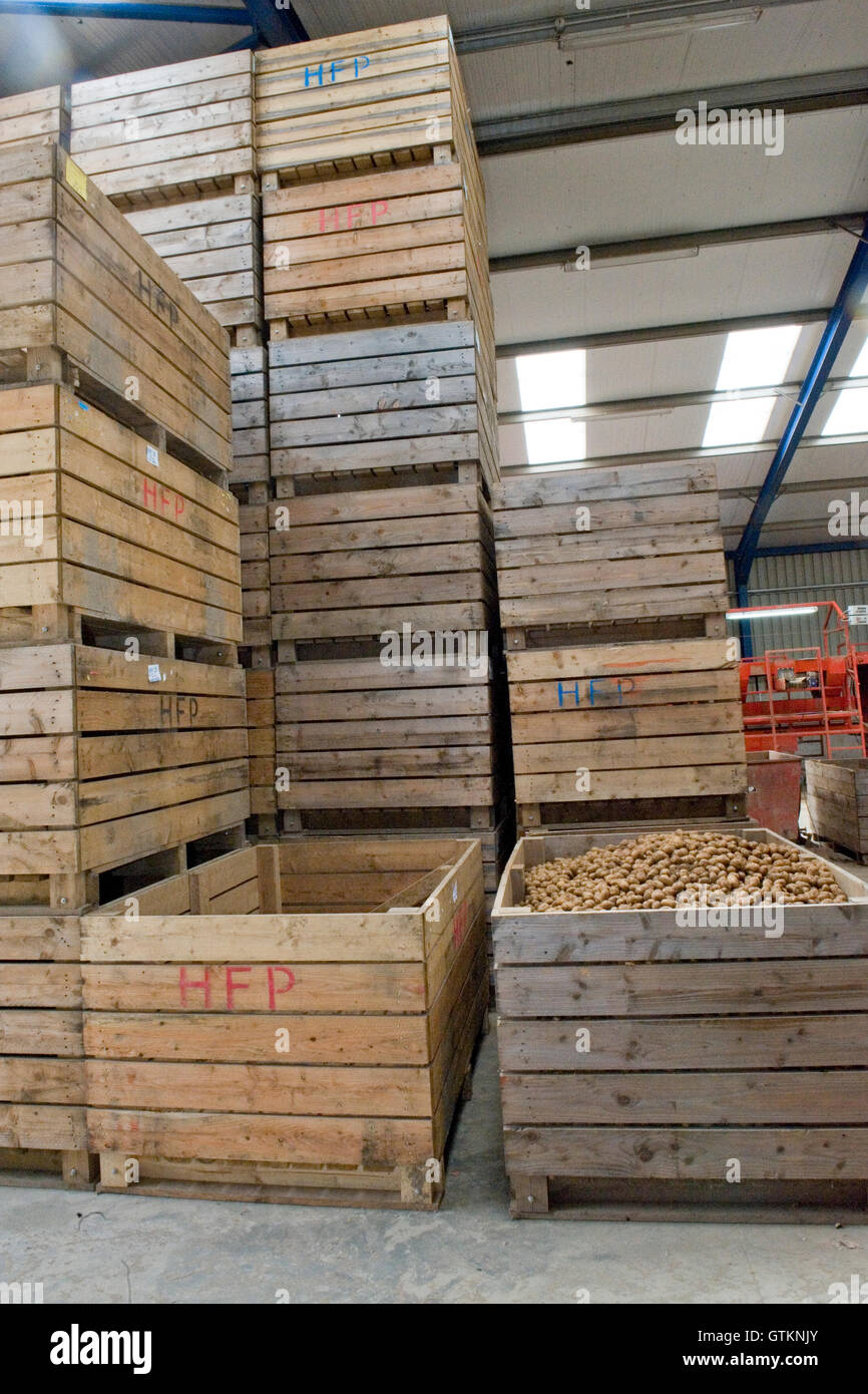 Logement de pommes de terre sur une exploitation de pommes de terre Banque D'Images