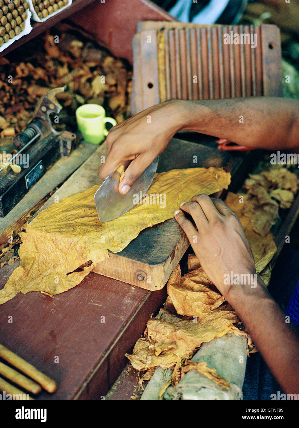 Un fabricant de cigares locale roule un cigare. Santo Domingo, République dominicaine. Banque D'Images