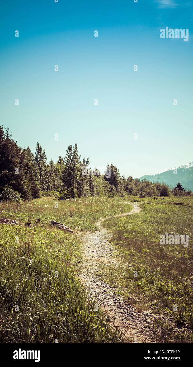 Chemin dans le sud-est de l'Alaska à l'été avec ciel bleu. Banque D'Images