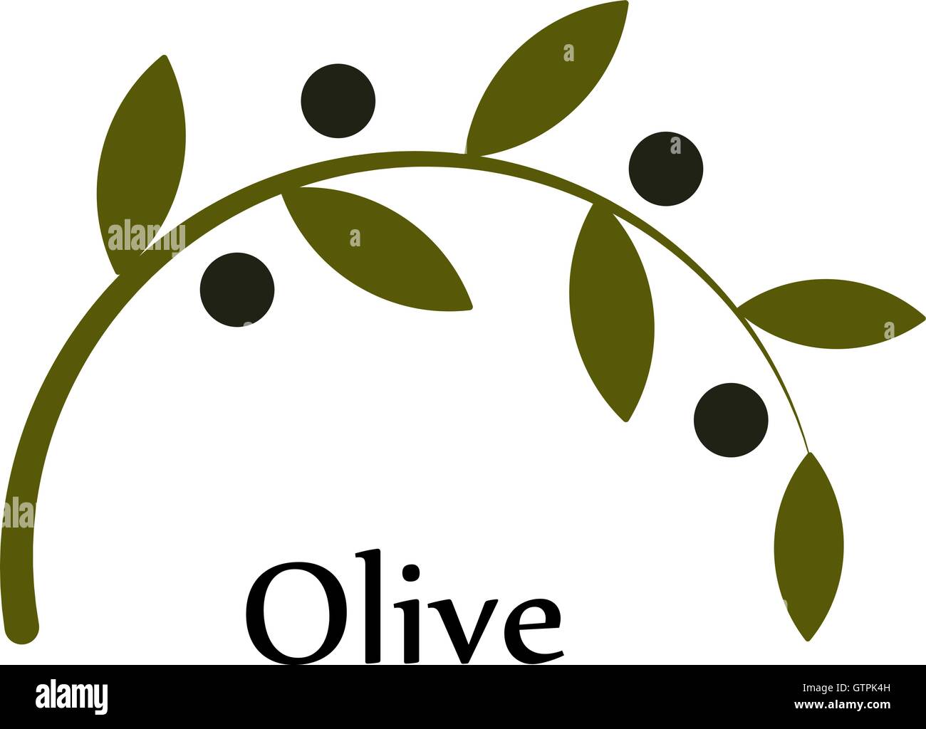 Vecteur vert isolé rameau d'un logo. L'huile d'olive signe. Symbole de la paix. Signe religieux grec. Icône mythologique.production en bonne santé Illustration de Vecteur