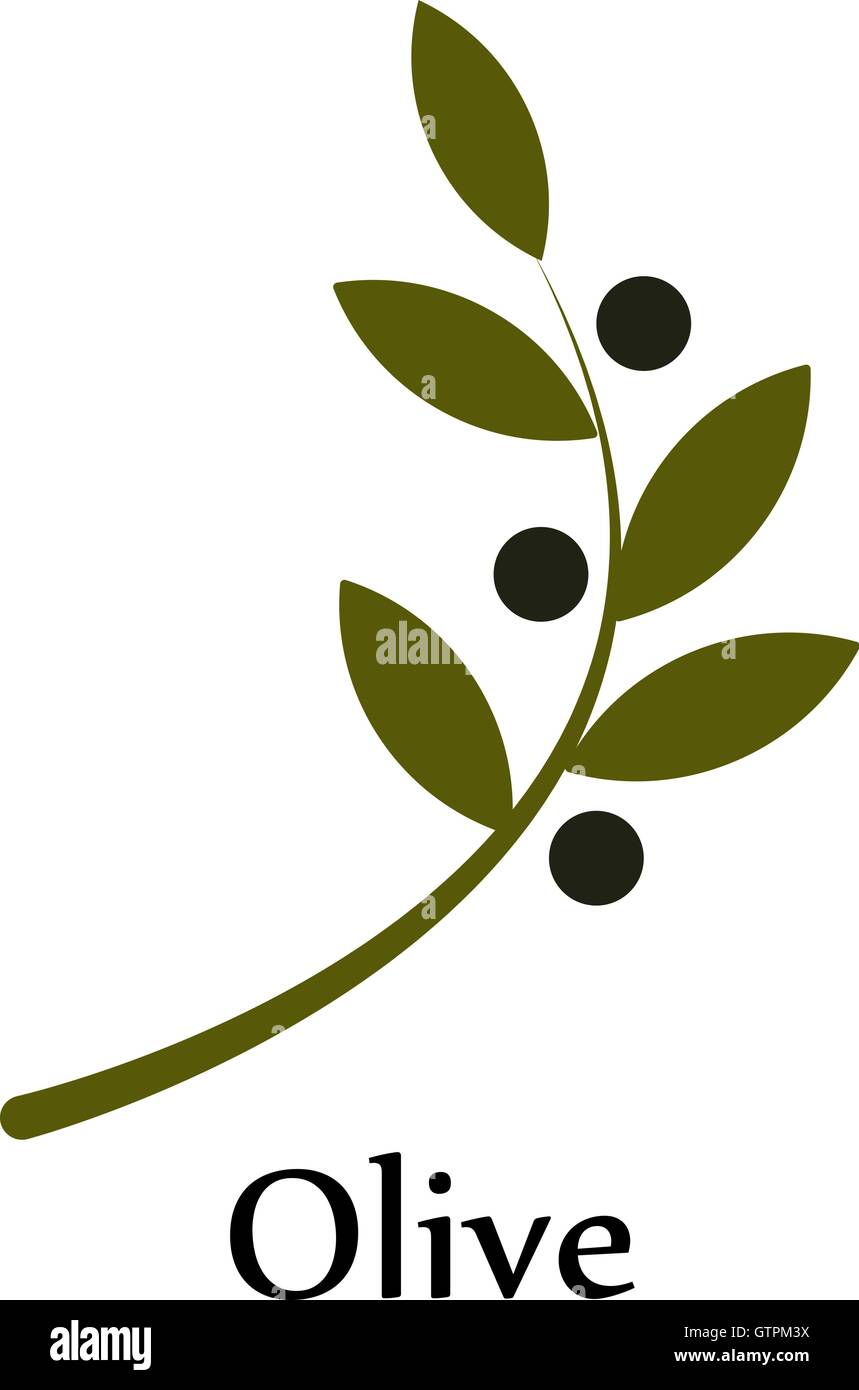 Vecteur vert isolé rameau d'un logo. L'huile d'olive signe. Symbole de la paix. Signe religieux grec. Icône mythologique.production en bonne santé Illustration de Vecteur