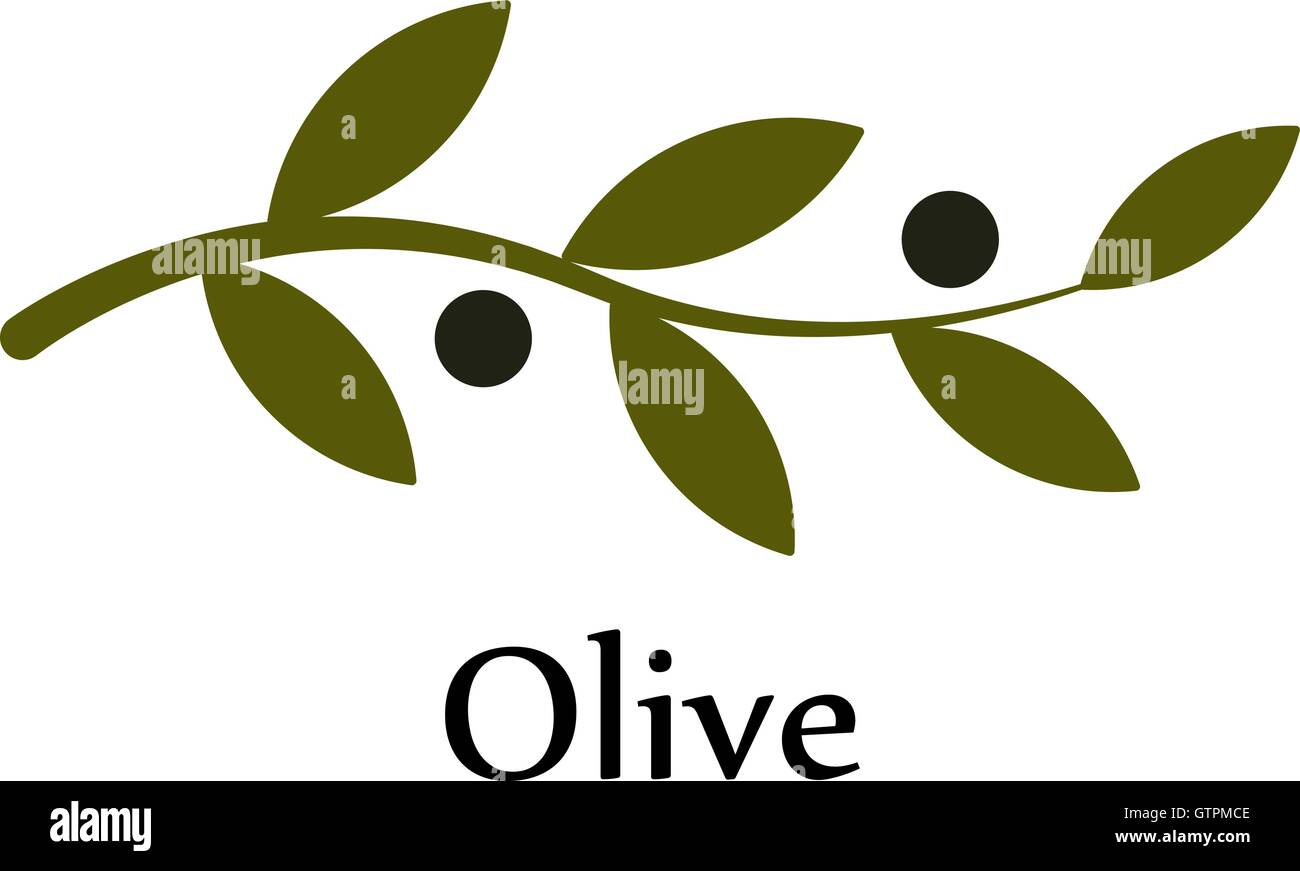 Vecteur vert isolé rameau d'un logo. L'huile d'olive signe. Symbole de la paix. Signe religieux grec. Icône mythologique.production en bonne santé Illustration de Vecteur