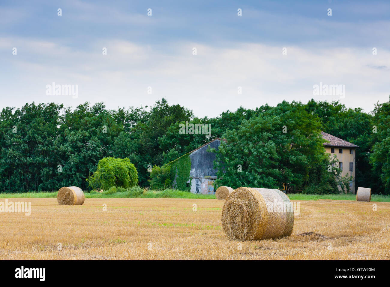 Campagne italienne panorama. Les balles rondes sur champ de blé. L'agriculture, de la vie rurale Banque D'Images