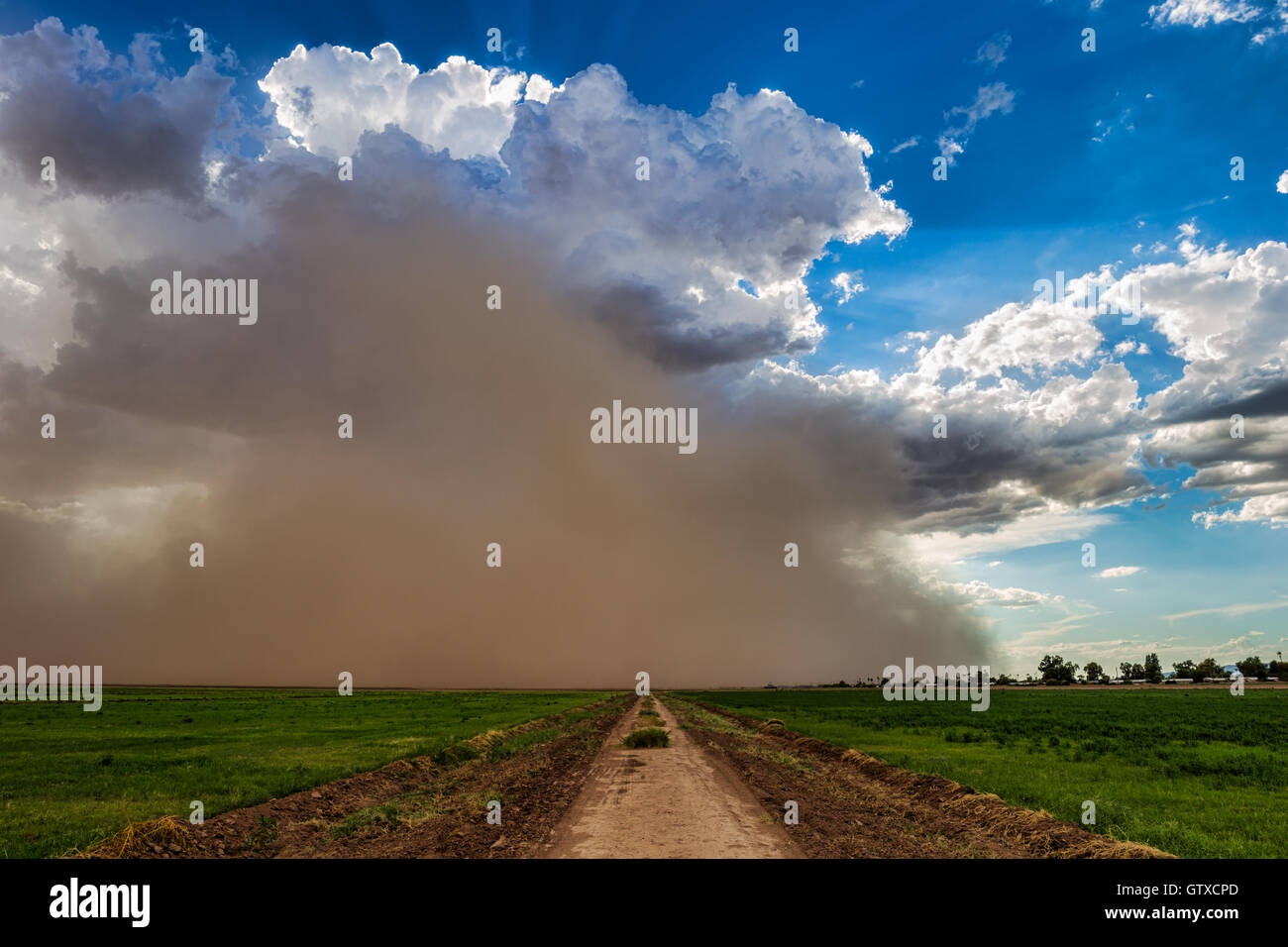 Tempête de poussière de la mousson approche de Phoenix, Arizona Banque D'Images