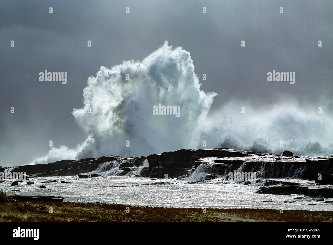 Une tempête hivernale whips de grandes et puissantes vagues qui s'écraser sur une plage, sous un ciel lourd. Banque D'Images