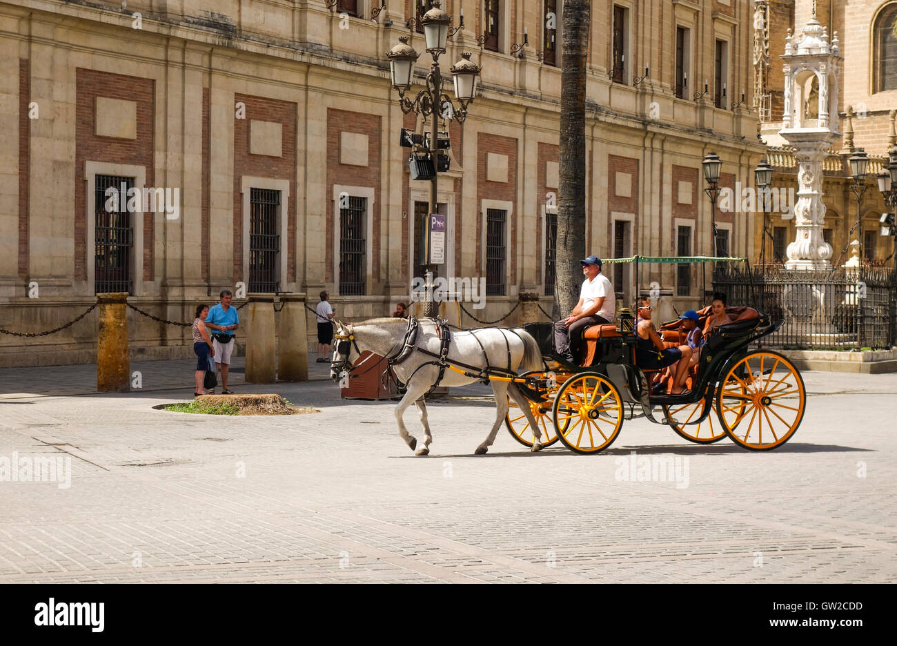 Transport de chevaux en passant par l'avant de la cathédrale Giralda en attente de clients, Séville, Andalousie, espagne. Banque D'Images