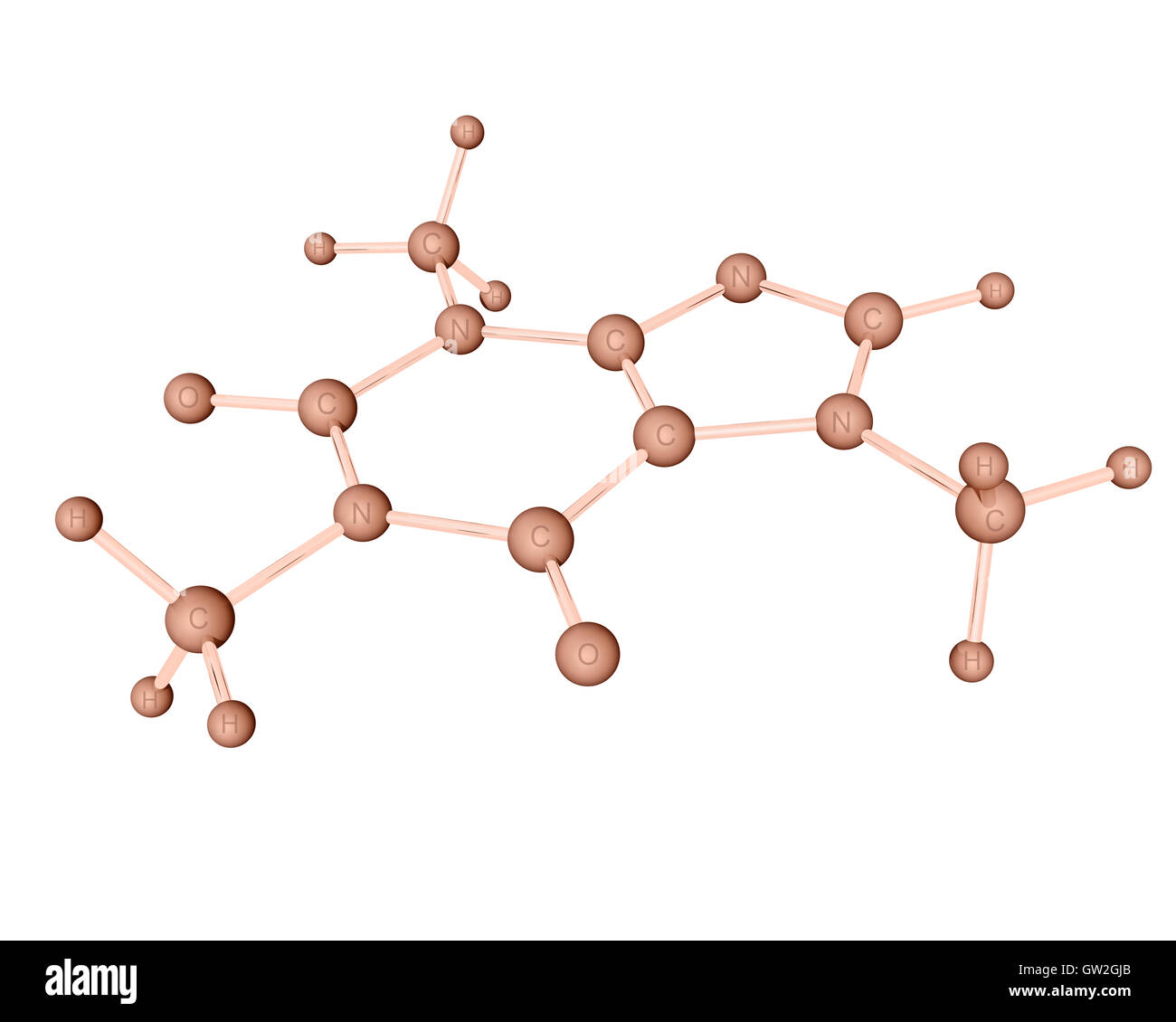 3D Le modèle moléculaire de la caféine, un stimulant du système nerveux central (SNC). L'étiquette d'atomes. Banque D'Images