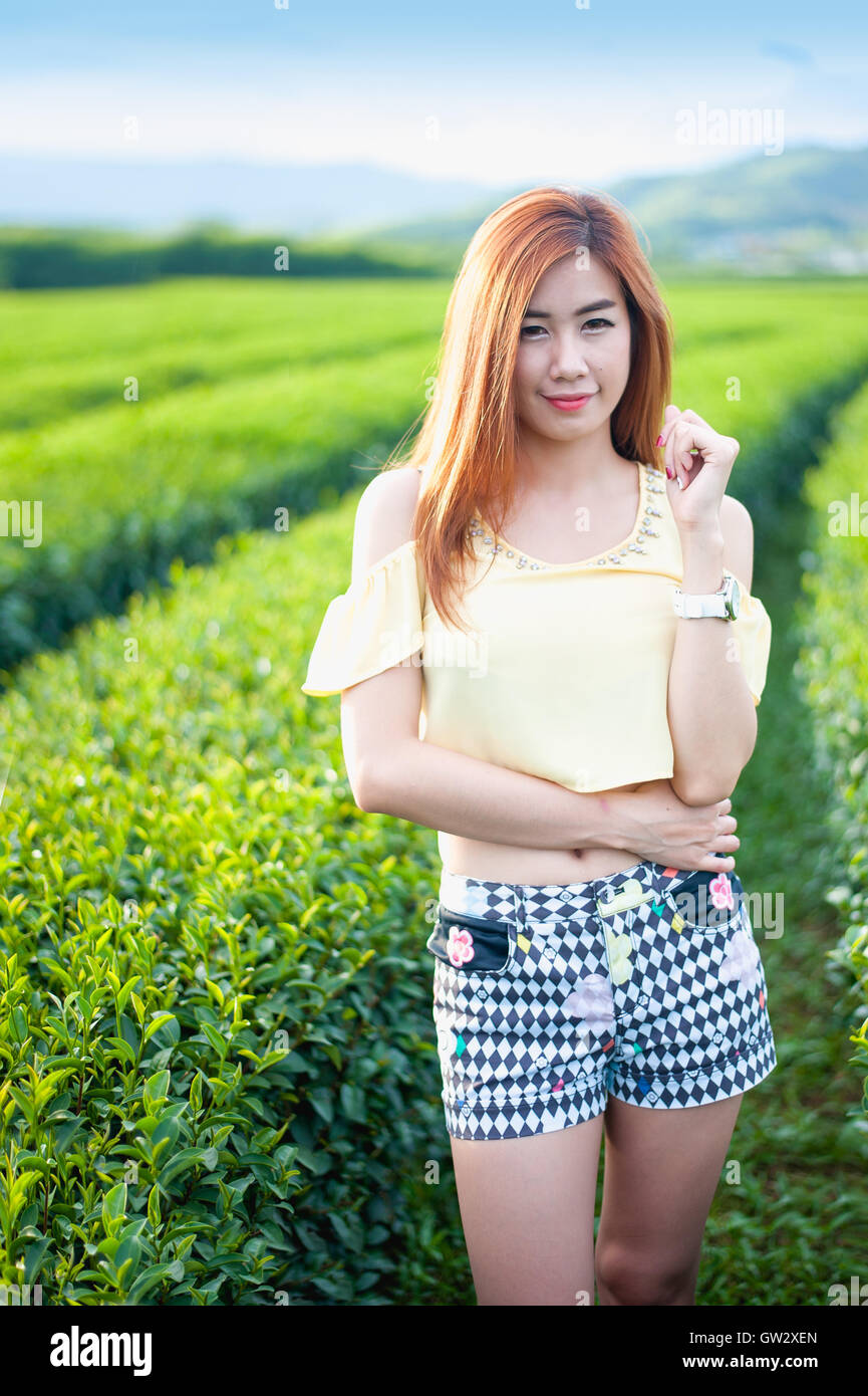 Portrait femme thaïlandaise dans la plantation de thé , Chiangrai Thaïlande Banque D'Images