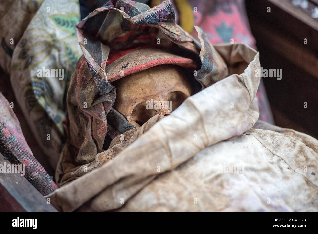 Le corps mort d'élever par la mort des parents de nettoyer leurs cadavres pendant ma'nenen les rituels dans le Nord, l'Indonésie Toraja. Banque D'Images