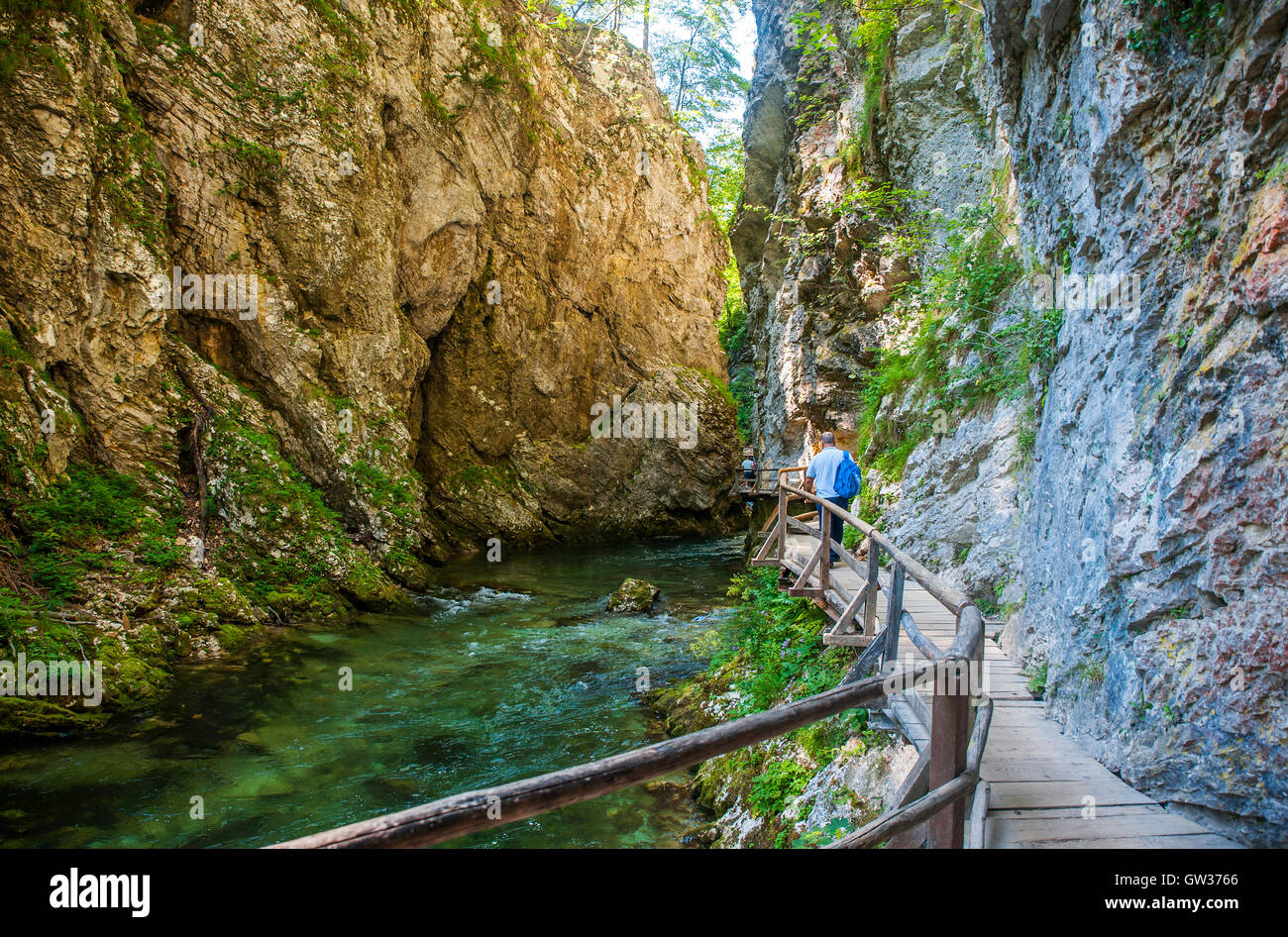 Les gorges de vintgar, Blejski Bled, Slovénie Banque D'Images