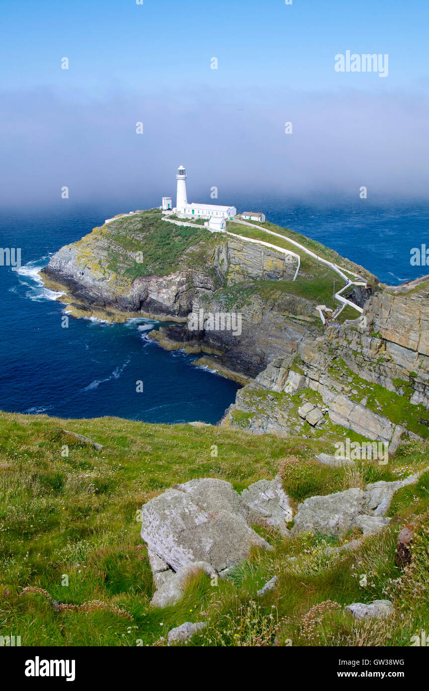 Sea mist rolling in South Stack, à Hamburg, au Pays de Galles Banque D'Images