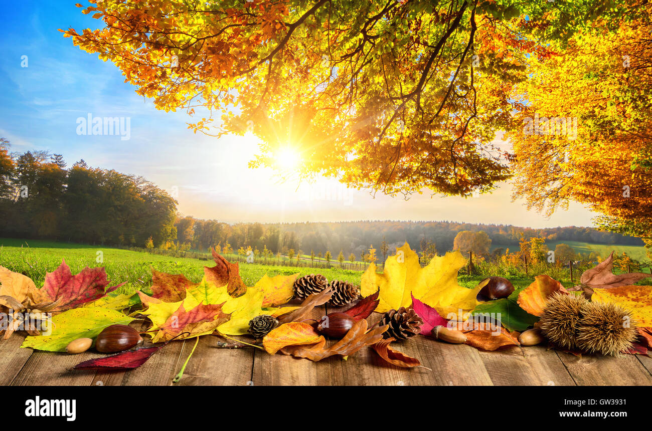 Concept d'automne avec les feuilles colorées sur une table en bois en face d'un paysage ouvert ensoleillé Banque D'Images