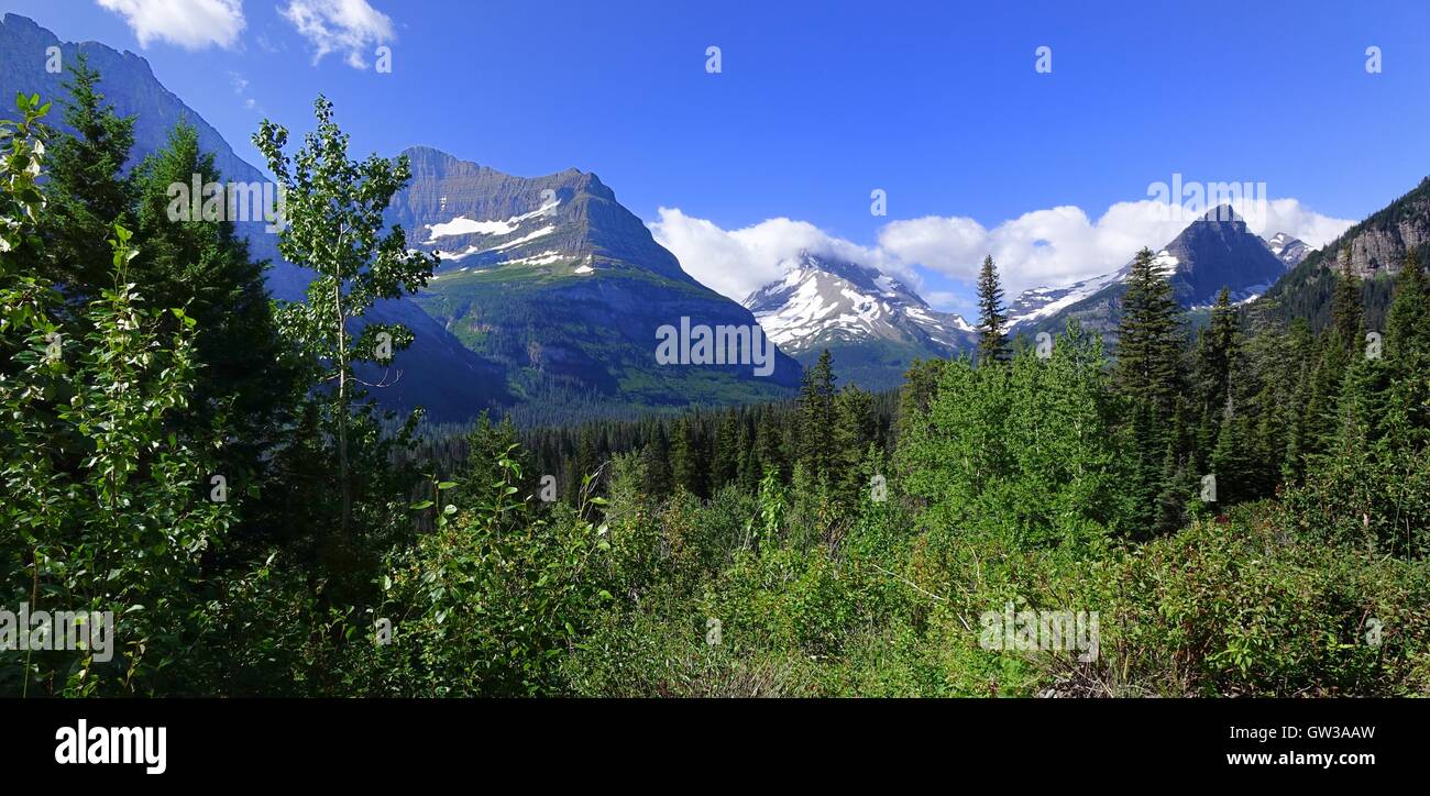 Montagnes, forêts, Glacier National Park, Montana Banque D'Images