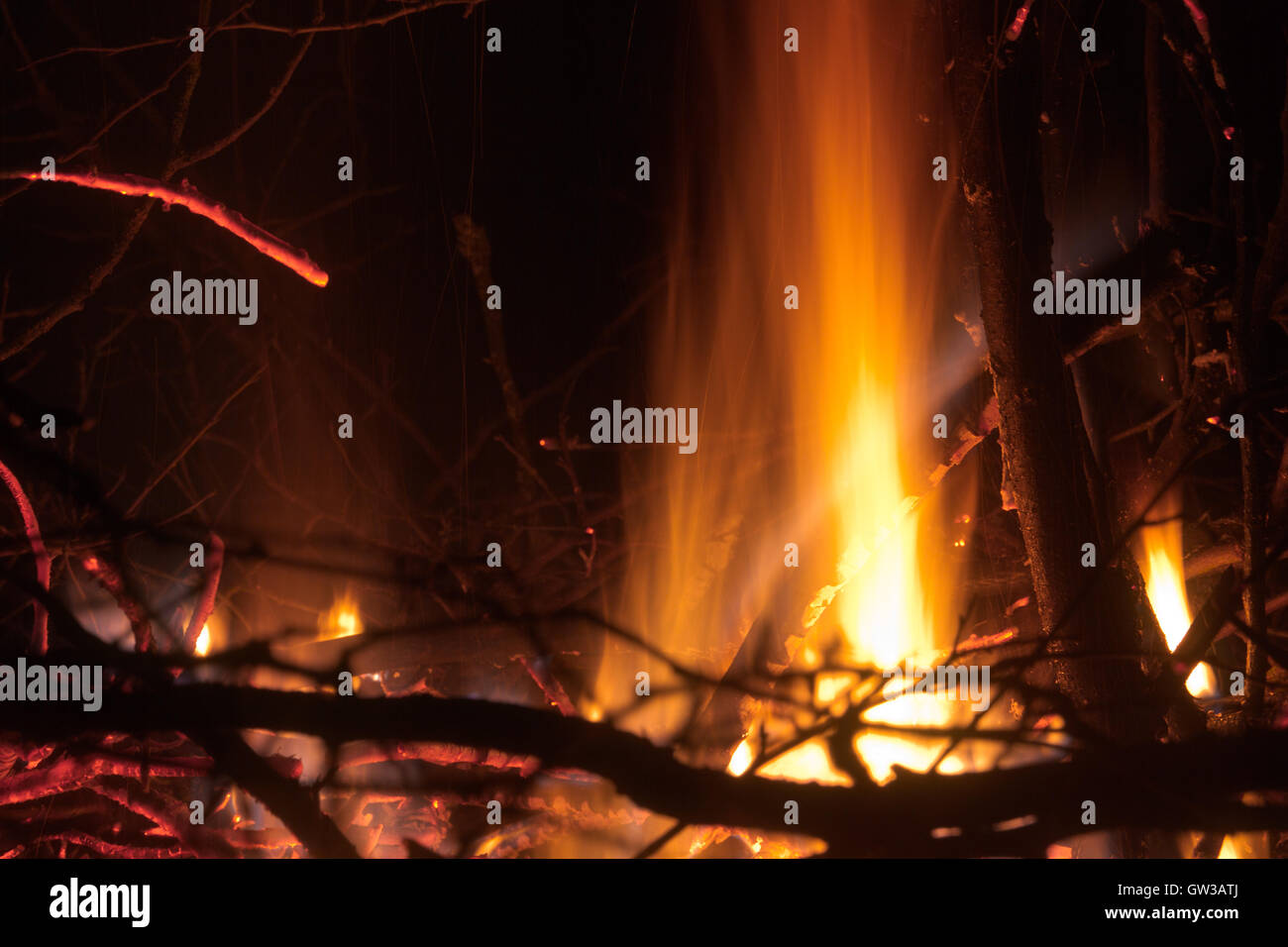 Résumé Contexte : flamme de feu de broussailles en feu (branches) libre formant un motif spécifique. Banque D'Images