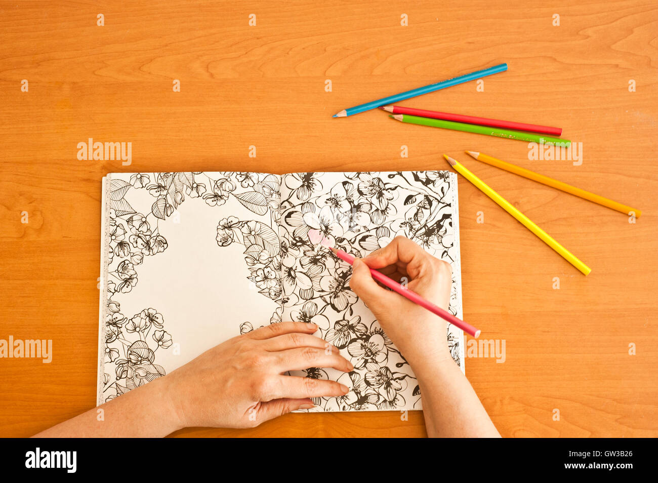 Femme avec un livre de coloriage Banque D'Images