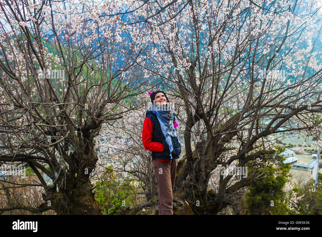 Belle femme Traveler reinsegnements sur les montagnes.Young Girl Posing Smiling prendre le reste de l'été fond paysage du Nord. Photo horizontale. Banque D'Images