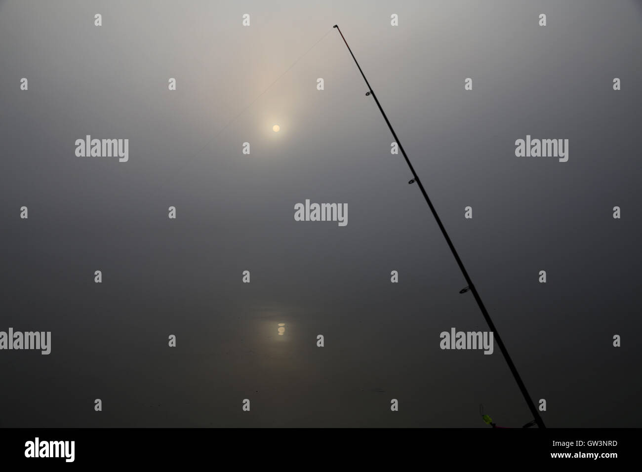 Brume du matin sur le lac Banque D'Images