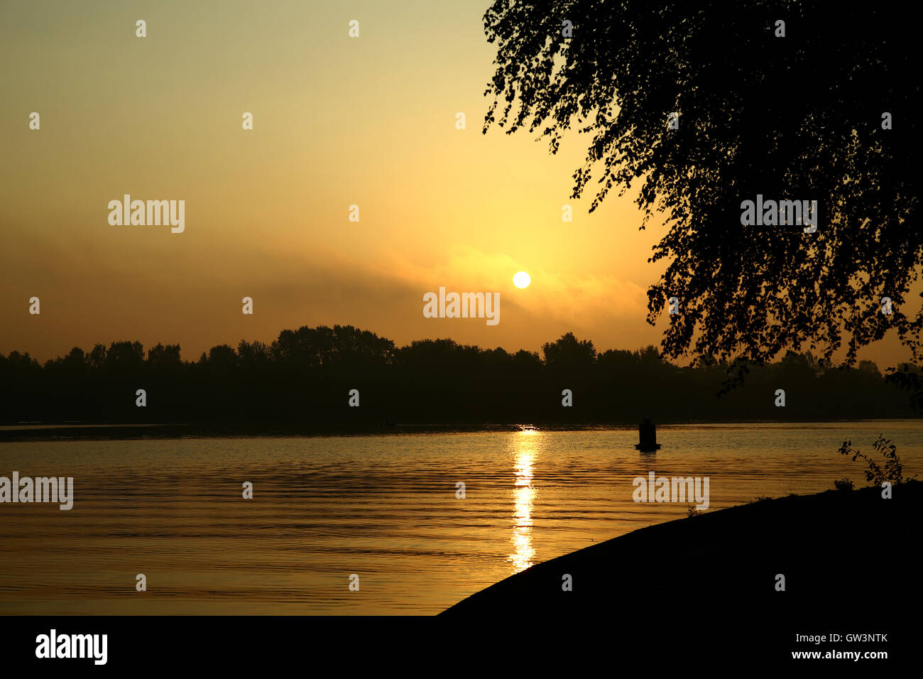 Brume du matin sur le lac Banque D'Images