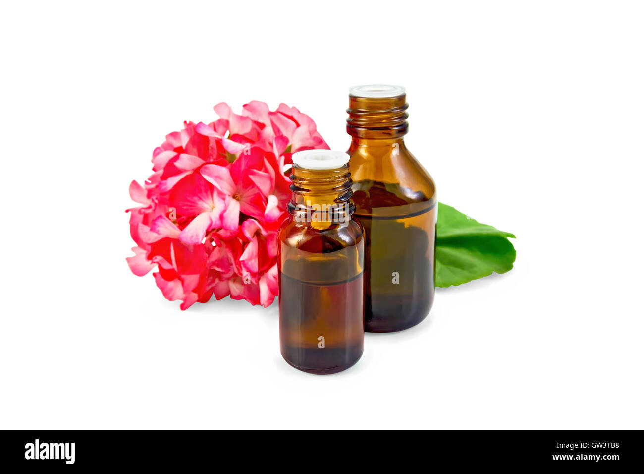 Avec l'huile de géranium rose dans deux flacons sombres Banque D'Images
