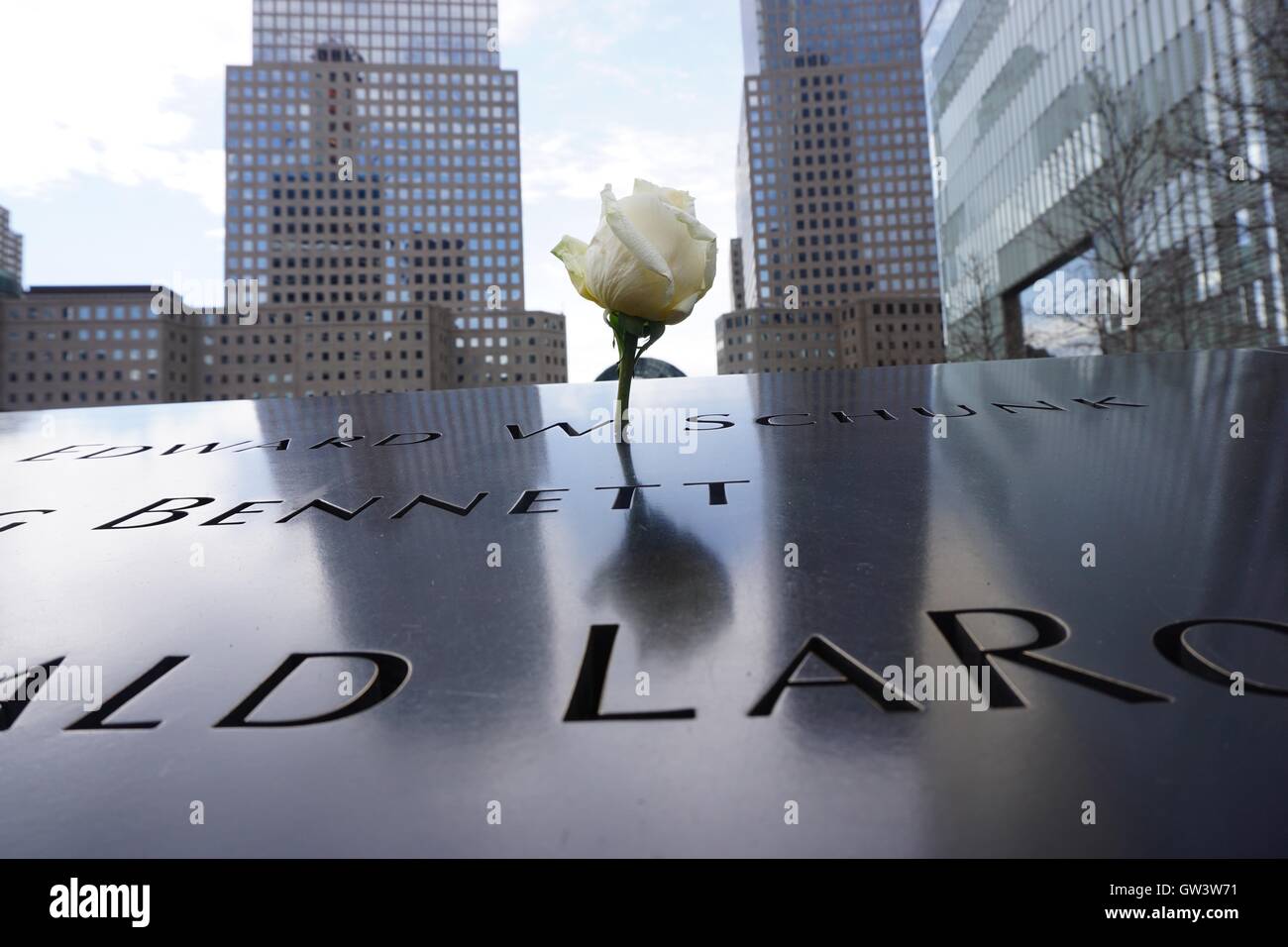Une rose met sur le mémorial du 11 septembre. Banque D'Images