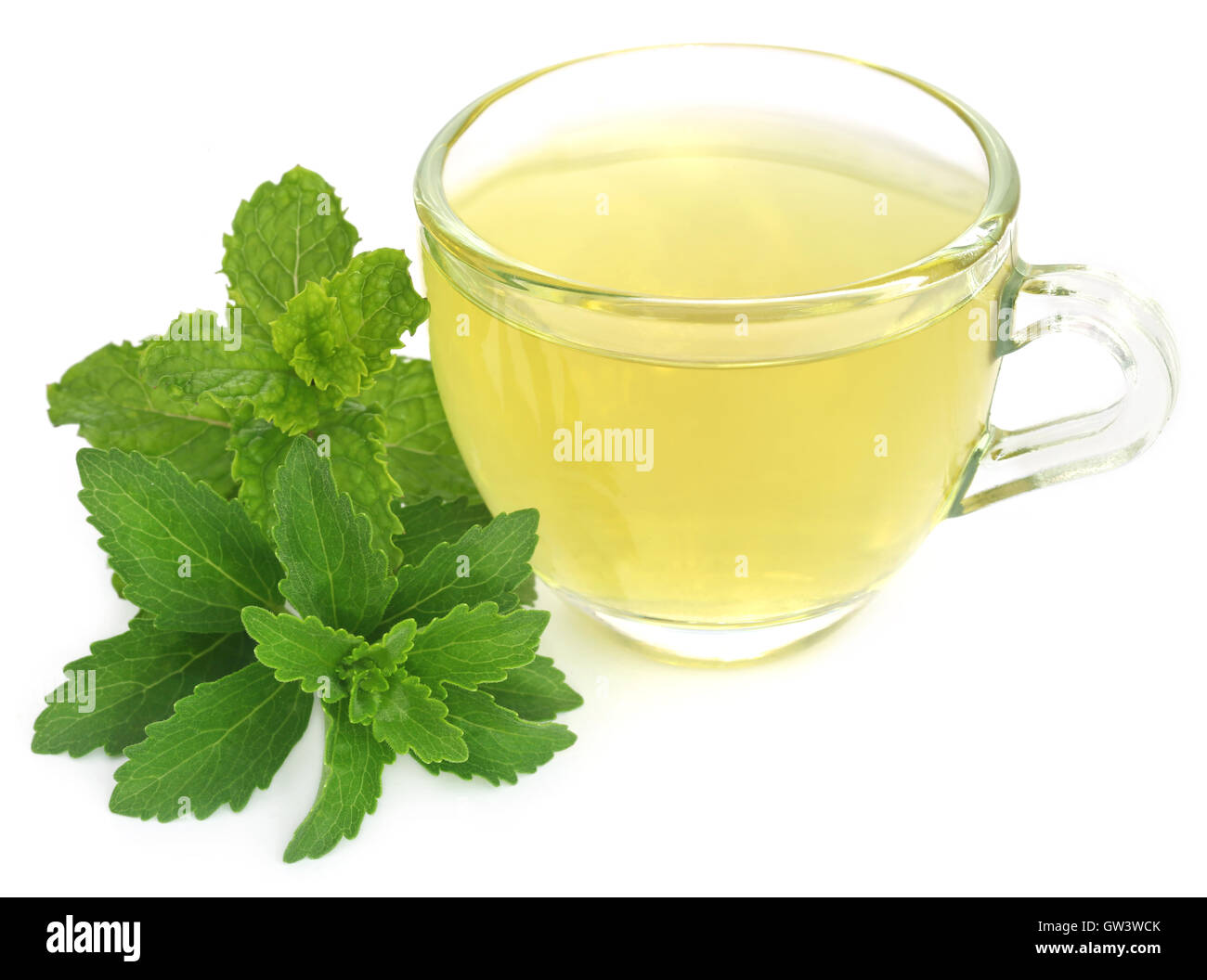 Tisane dans une tasse avec le stévia et de feuilles de menthe sur fond blanc Banque D'Images