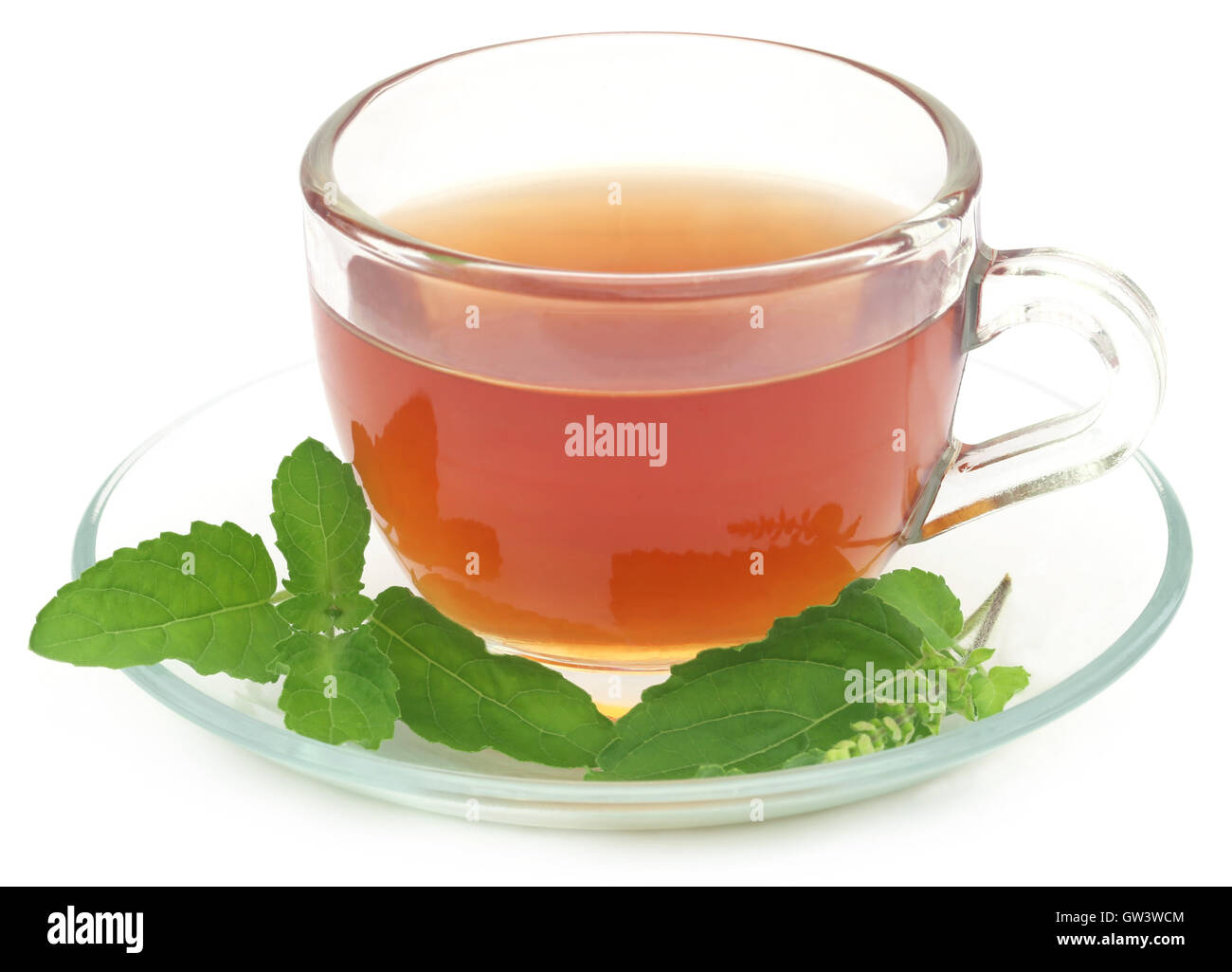 Tisane dans une tasse avec tulsi feuilles sur fond blanc Banque D'Images